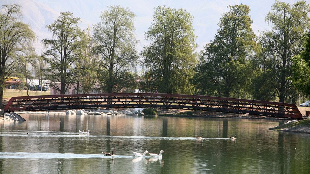 Secombe Bridge with ducks swimming below